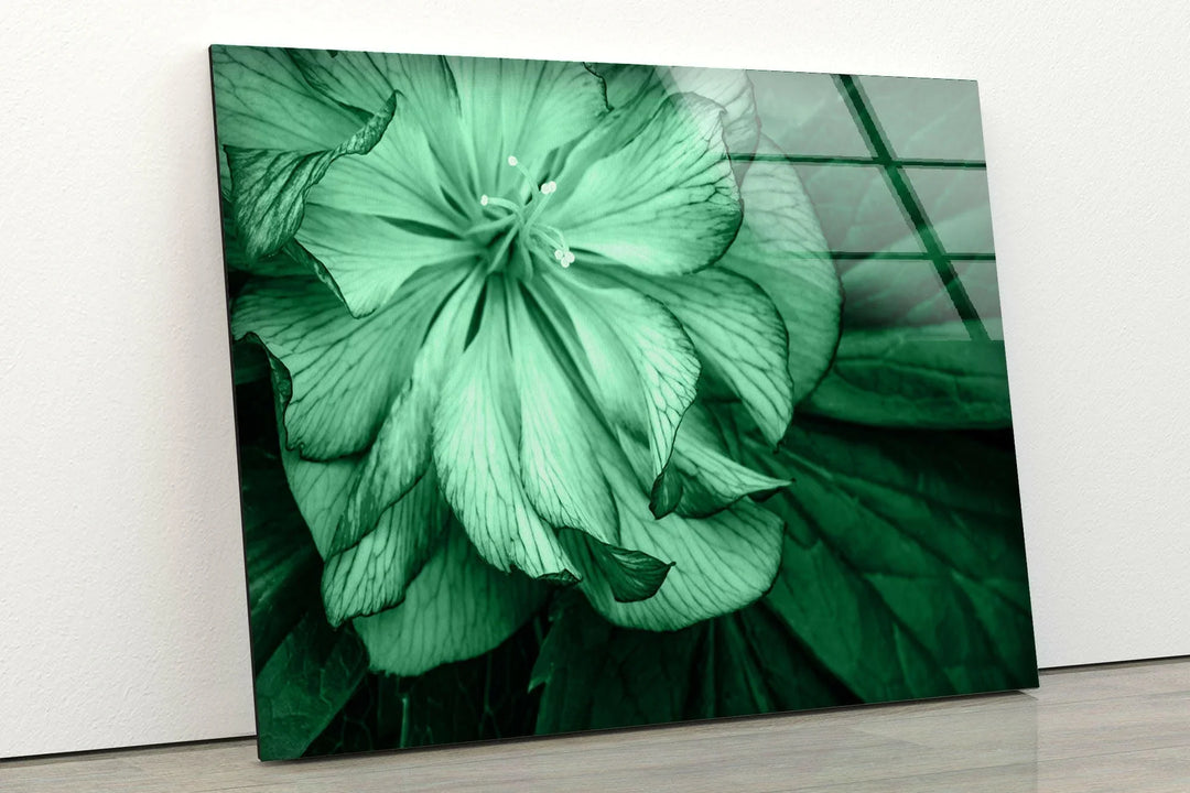 Mint Green Flower Petals Glass Wall Art, photo print on glass, prints on glass wall art
