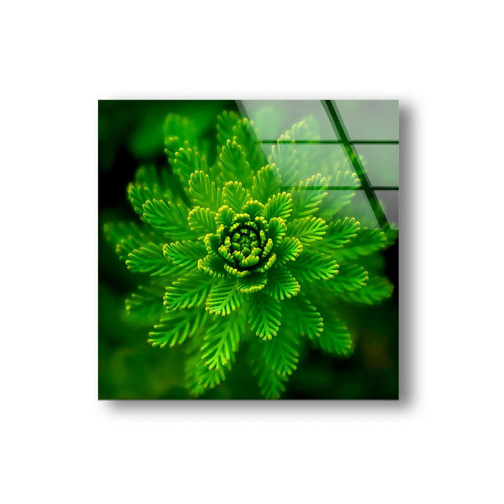 Green Botanical Glass Wall Art, glass photo prints, glass picture prints
