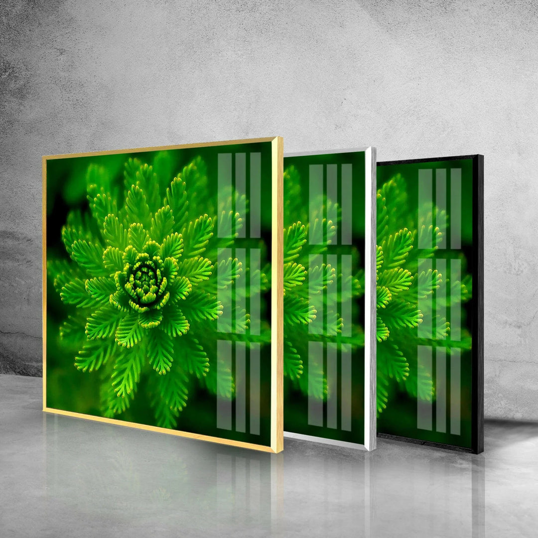 Green Botanical Glass Wall Art, large glass photo prints, glass wall photos