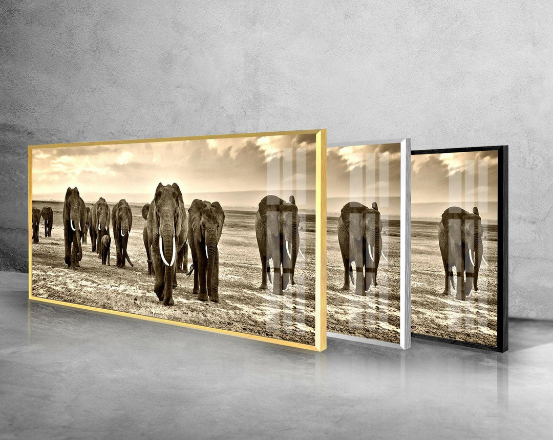 Black&White African Elephants Glass Wall Art, glass wall decor, glass wall art decor
