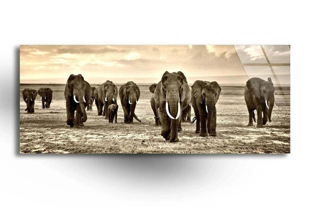 Black&White African Elephants Glass Wall Art, print picture on glass, Tempered Glass Wall Art