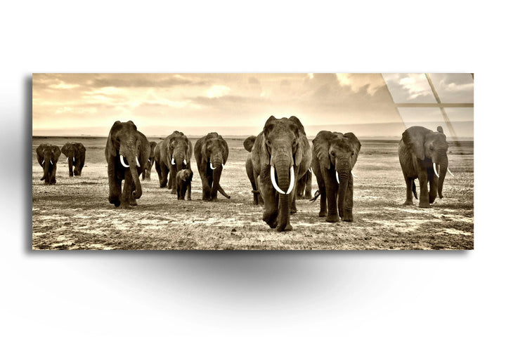Black&White African Elephants Glass Wall Art, print picture on glass, Tempered Glass Wall Art