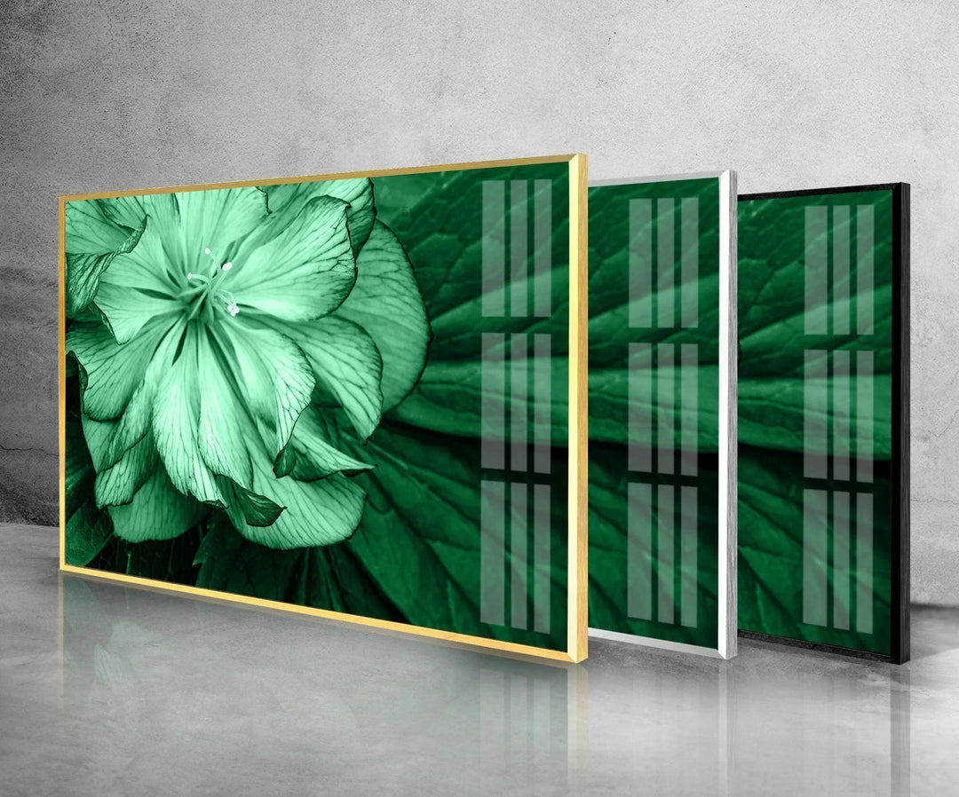 Mint Green Flower Petals Glass Wall Art, glass photo prints, glass picture prints