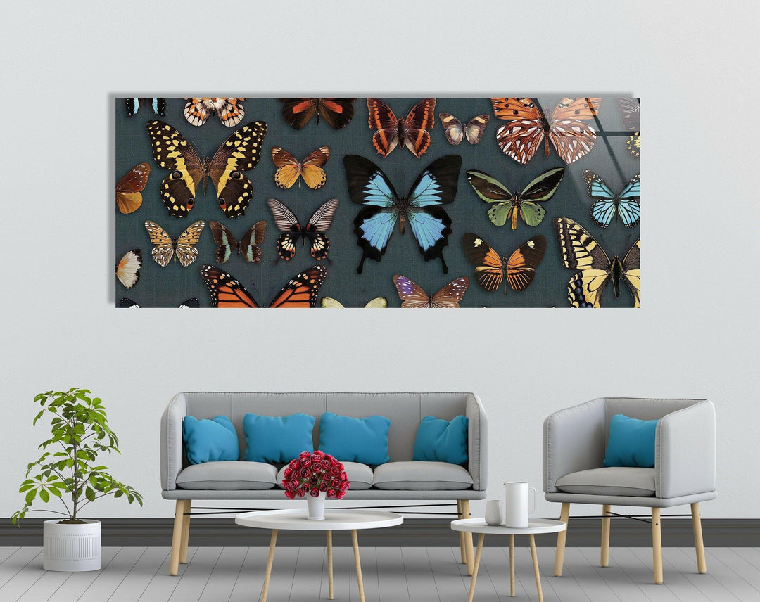 Various Butterflies Glass Wall Art, art glass wall art, glass wall art pictures