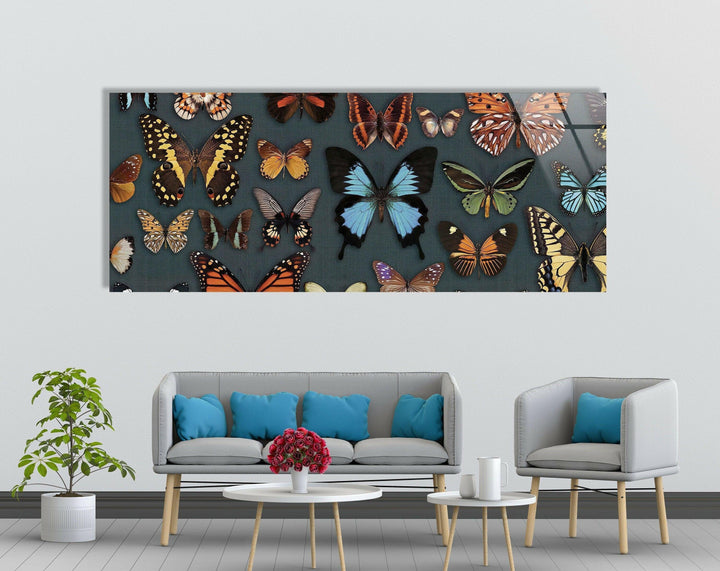 Various Butterflies Glass Wall Art, art glass wall art, glass wall art pictures