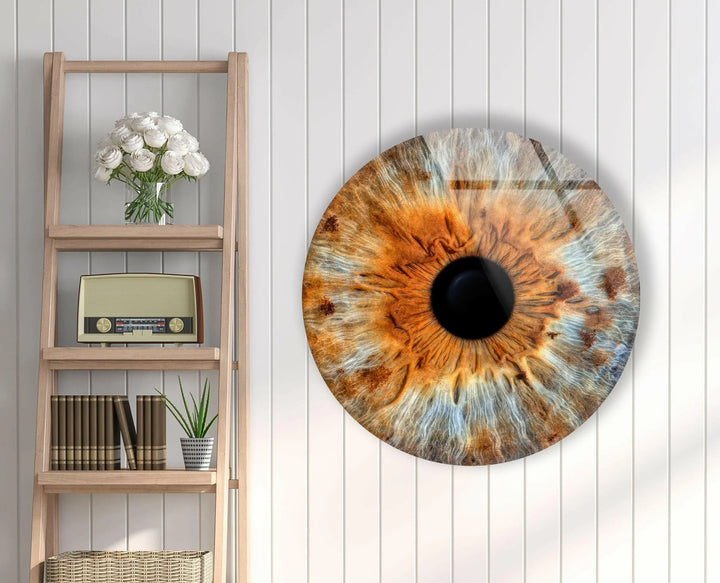 Brown Eye Round Glass Wall Art glass photo prints, glass picture prints