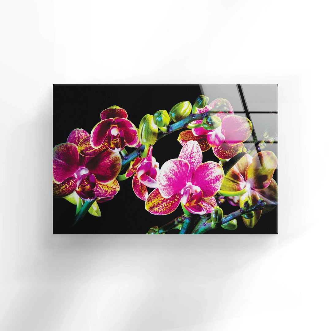 Orchid Closeup On Black Glass Wall Art, print picture on glass, Tempered Glass Wall Art