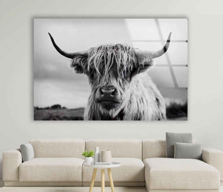 Scottish Cow Glass Wall Art art glass wall art, glass wall art pictures