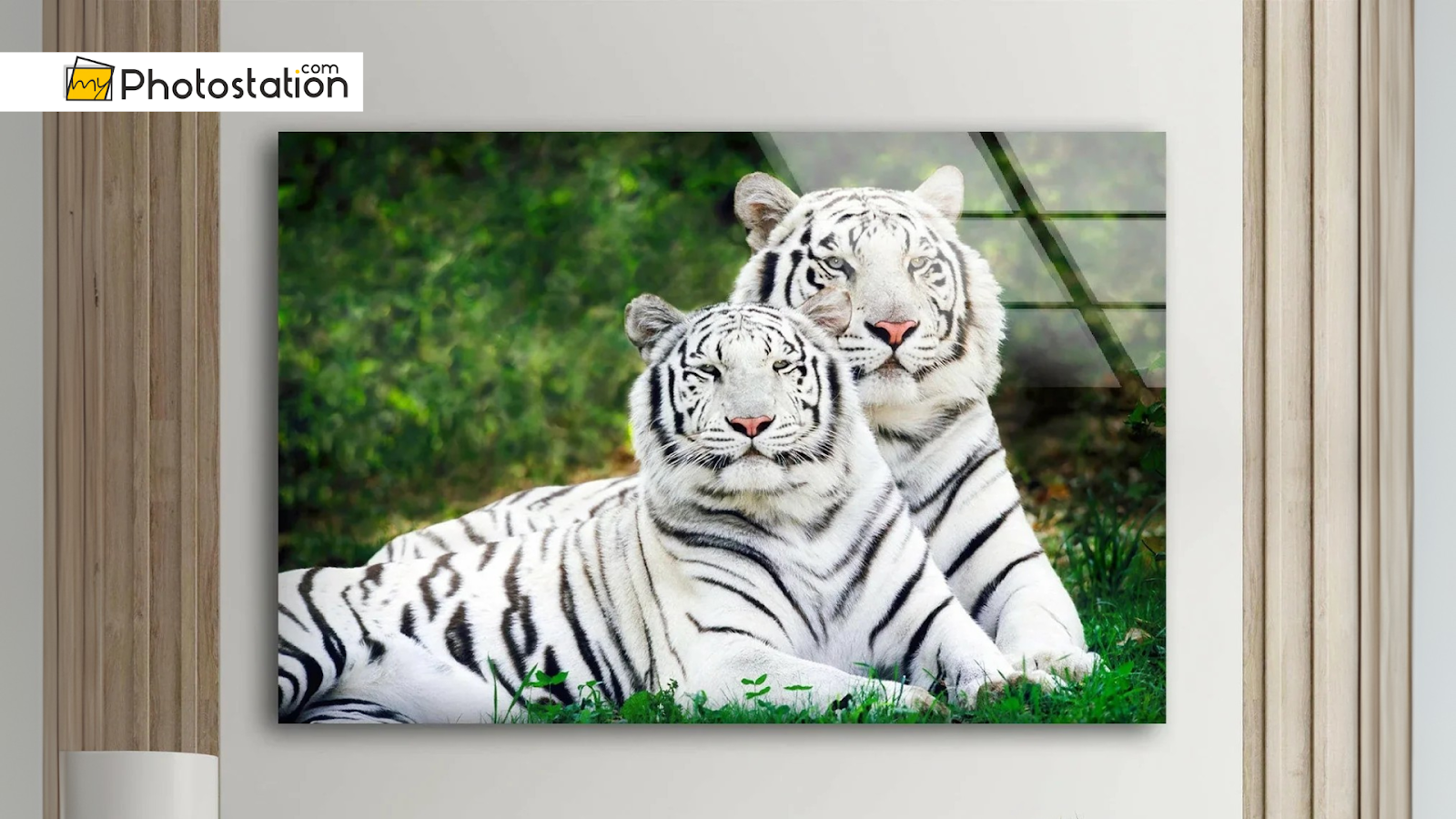 Feel the Energy: Bold Animal Wall Art that Bring Peace and Power Home