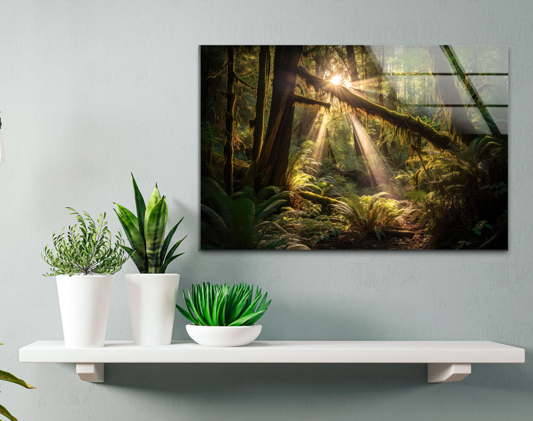 Enchanted Forest Wall Art – Sunlight Through Trees Glass Print for Nature-Inspired Decor