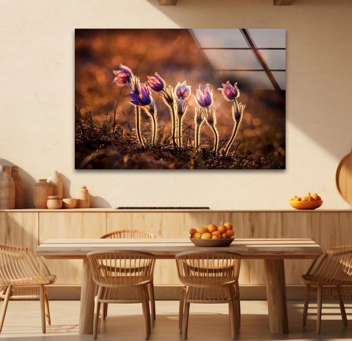 Sunlit Wildflower Wall Art – Purple Spring Bloom Glass Print with Golden Hour Glow for Cozy, Nature-Inspired Interiors - MyPhotoStation