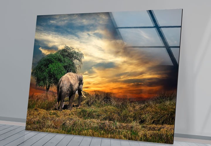 Elephant at Sunset Safari Wall Art – African Landscape Glass Print
