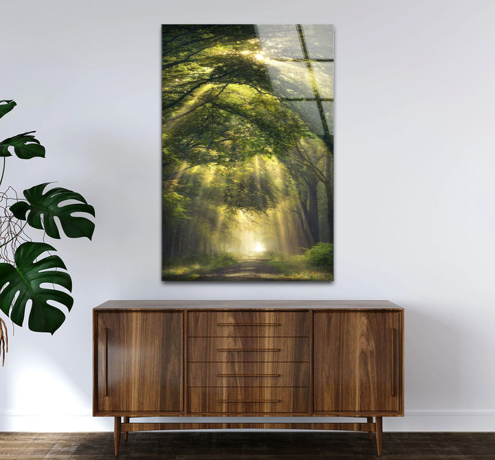 Forest Light Path Glass Wall Art – Serene Green Nature Print for Relaxing Decor - MyPhotoStation
