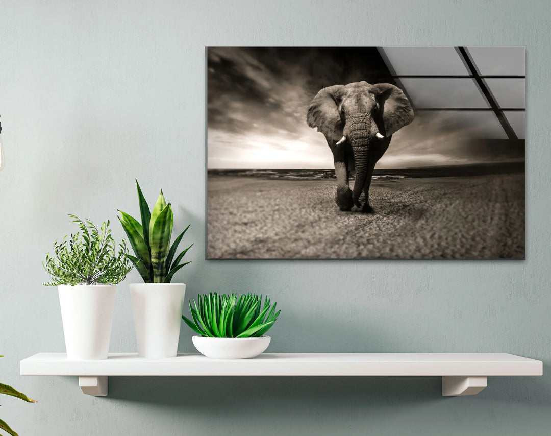 Majestic Elephant on the Beach Glass Wall Art – Black and White Animal Decor - MyPhotoStation