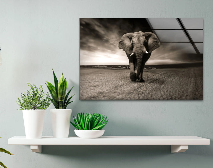 Majestic Elephant on the Beach Glass Wall Art – Black and White Animal Decor - MyPhotoStation