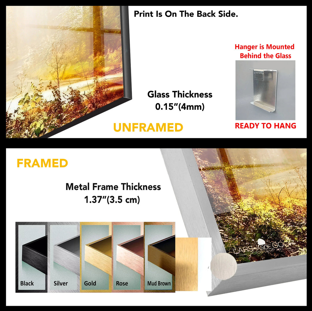 Golden Forest Sunbeam Wall Art – Radiant Nature Glass Print for Warm Home Decor - MyPhotoStation