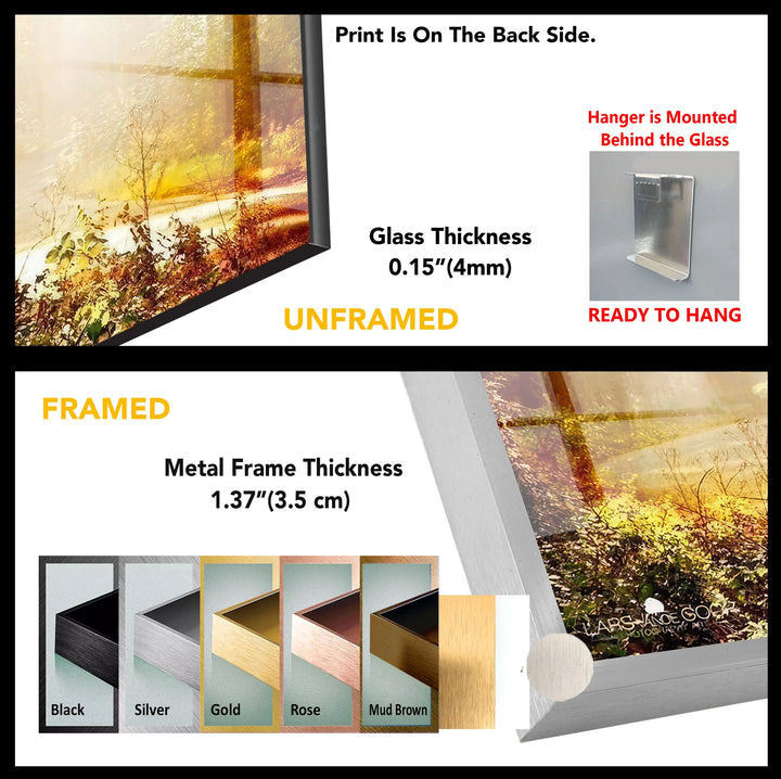 Golden Forest Sunbeam Wall Art – Radiant Nature Glass Print for Warm Home Decor - MyPhotoStation