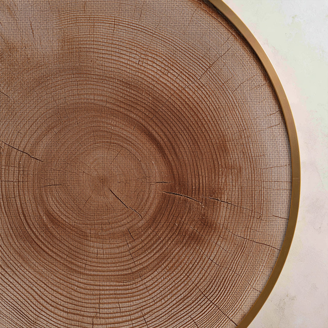 Natural Wood Ring Round Canvas Print – Rustic Tree Trunk Wall Art