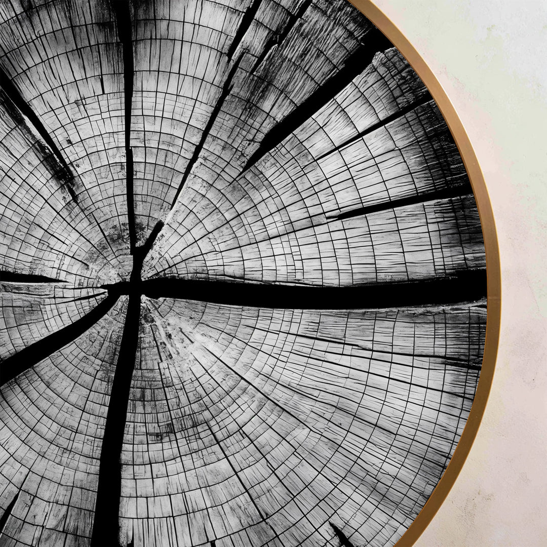 Monochrome Tree Rings – Modern Minimalist Round Oil Painting on Wood