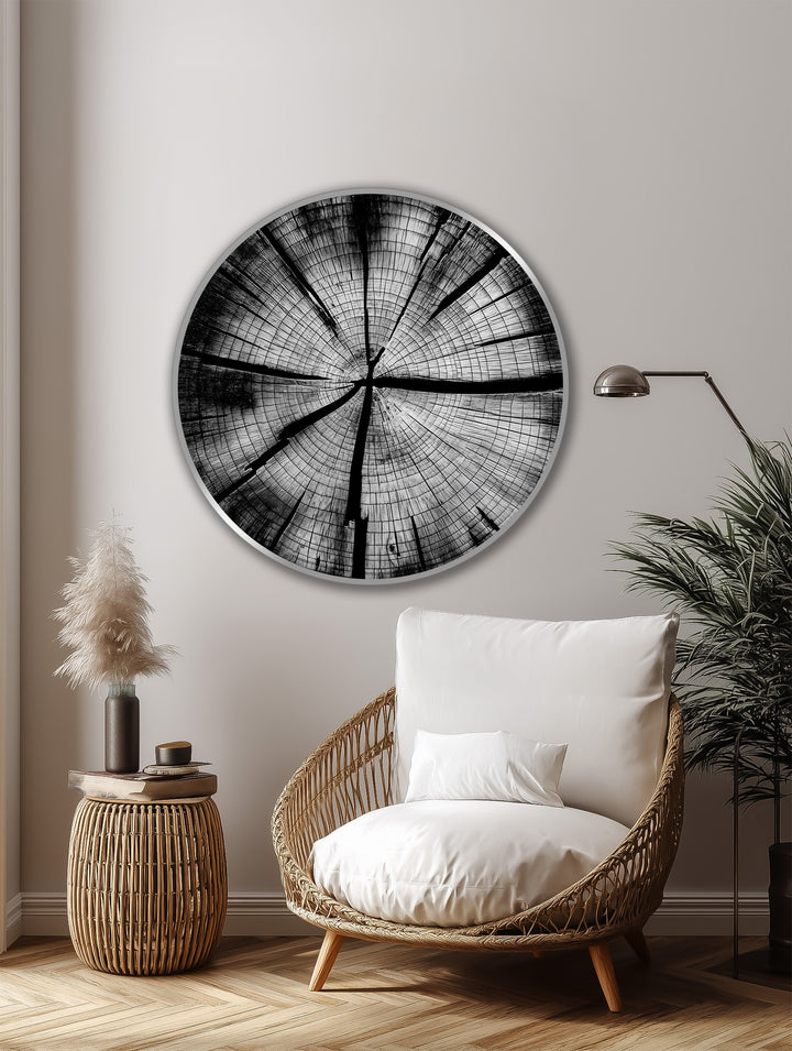 Light and shadow play across the monochrome tree rings of this round oil painting reproduction print, highlighting the wood grain in a minimalist, modern style.