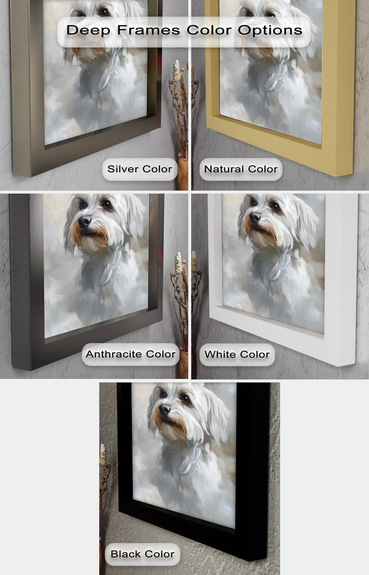 Snowy Gaze – White Maltese Portrait Animal Oil Painting