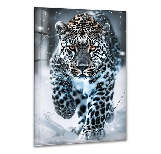Close-up of a black and white leopard's face and chest as a stunning print wall art.