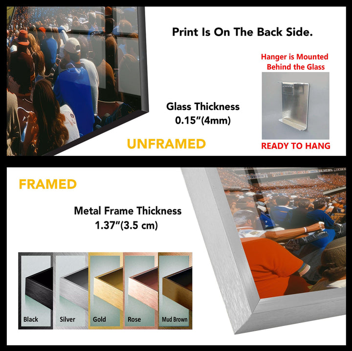 Buffalo NY Bills Glass Wall Art, print on glass, glass printed photos