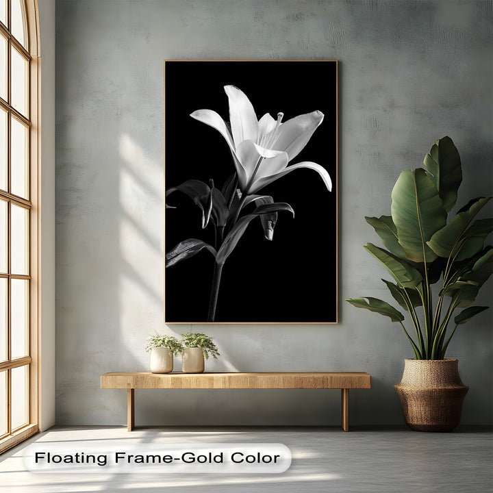 Silent Bloom – Black and White Lily Canvas Prints