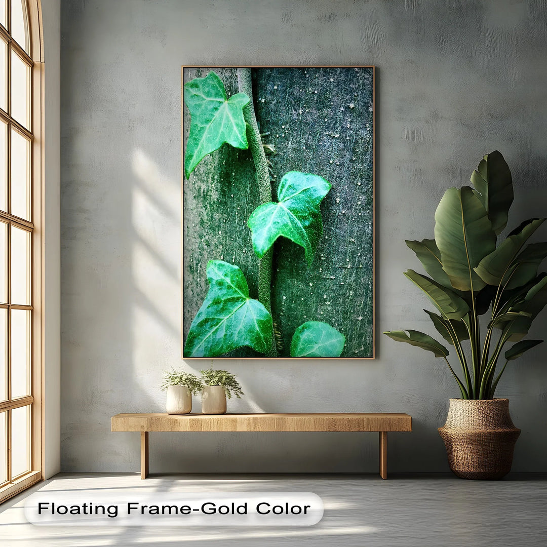 Climbing Ivy Close-Up – Nature Green Canvas Print - MyPhotoStation