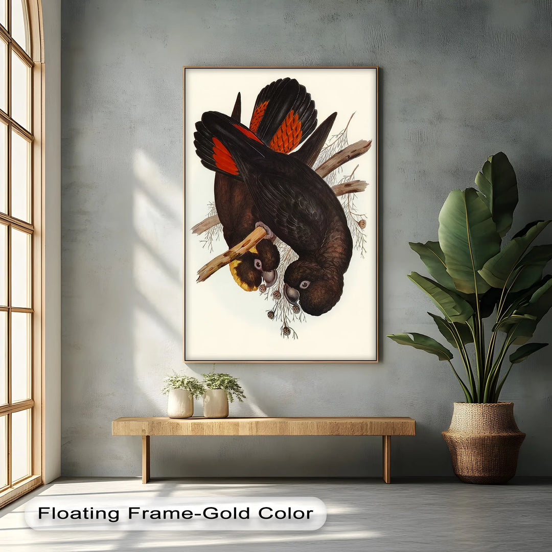 Crimson-Winged Black Cockatoos – Vintage Bird Illustration Animal Canvas Print - MyPhotoStation