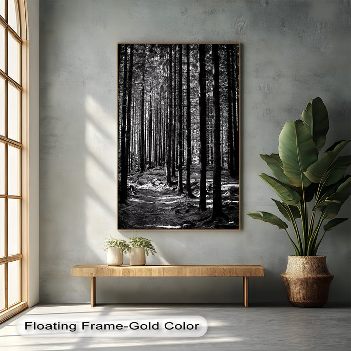 Whispers of the Woods – Black & White Forest Canvas Prints