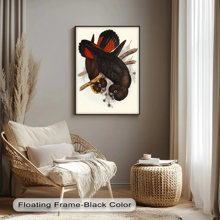Crimson-Winged Black Cockatoos – Vintage Bird Illustration Animal Canvas Print - MyPhotoStation