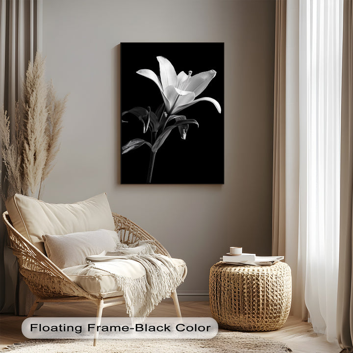 Silent Bloom – Black and White Lily Canvas Prints