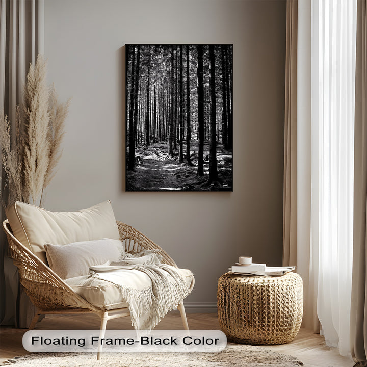Whispers of the Woods – Black & White Forest Canvas Prints