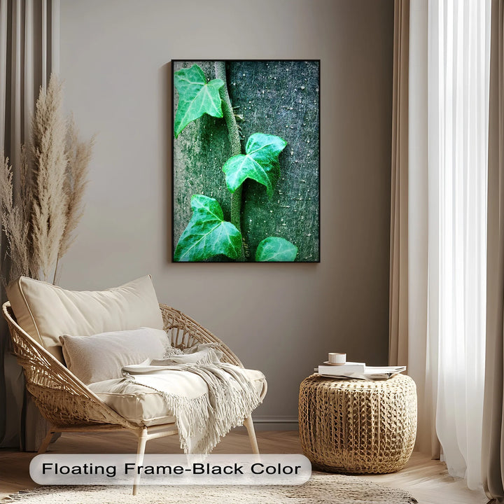 Climbing Ivy Close-Up – Nature Green Canvas Print - MyPhotoStation