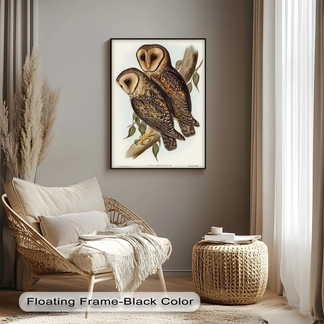 Vintage Barn Owls Illustration – Animal Canvas Print - MyPhotoStation