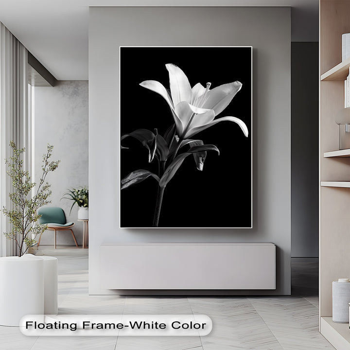 Silent Bloom – Black and White Lily Canvas Prints