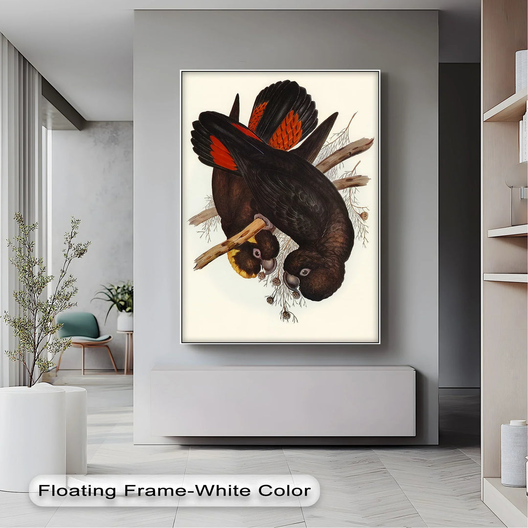Crimson-Winged Black Cockatoos – Vintage Bird Illustration Animal Canvas Print - MyPhotoStation