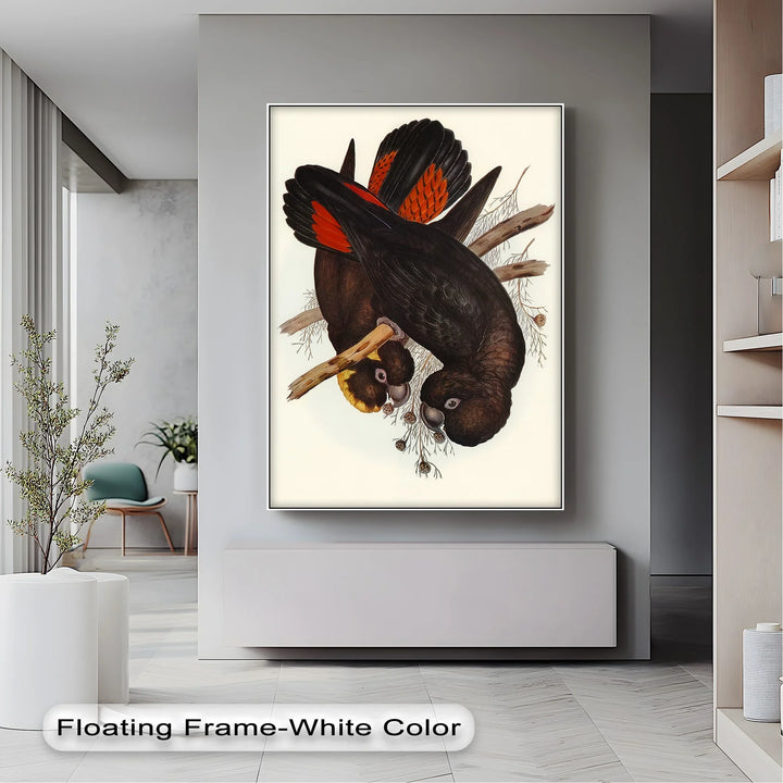 Crimson-Winged Black Cockatoos – Vintage Bird Illustration Animal Canvas Print - MyPhotoStation