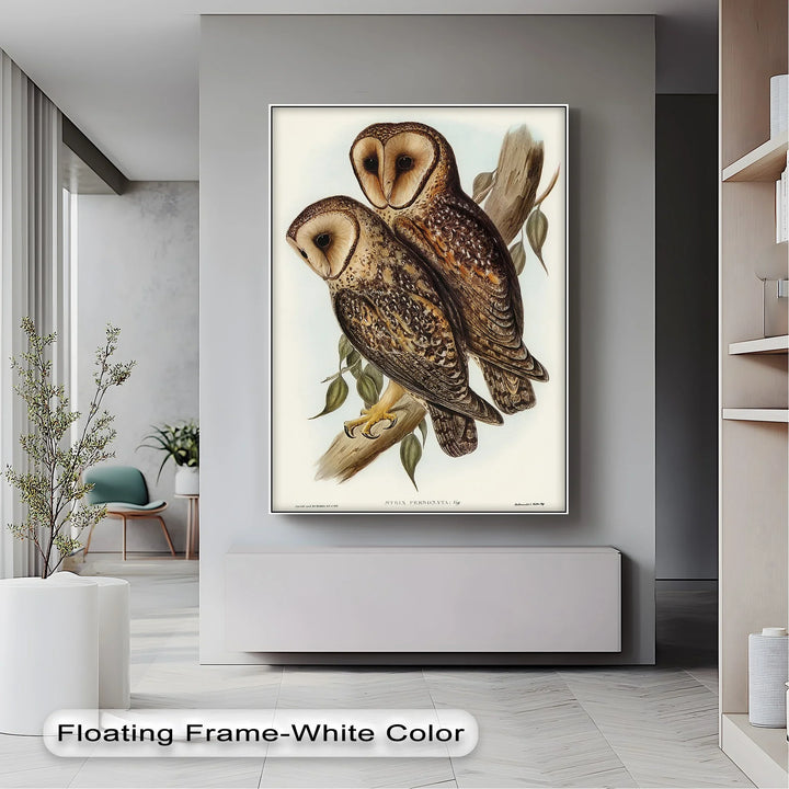 Vintage Barn Owls Illustration – Animal Canvas Print - MyPhotoStation