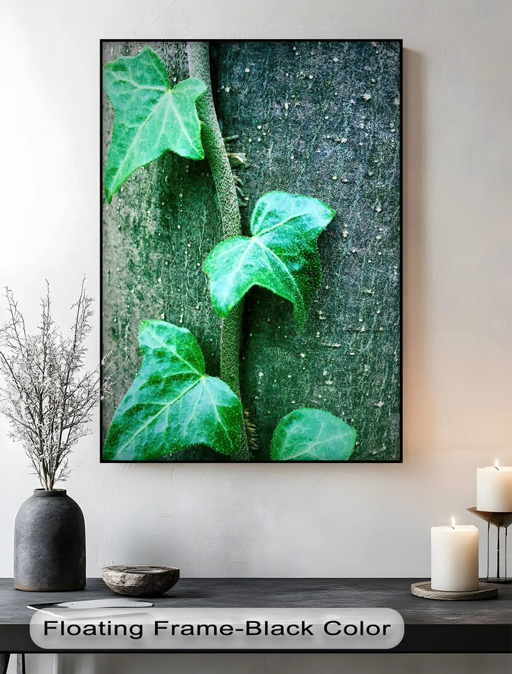 Climbing Ivy Close-Up – Nature Green Canvas Print - MyPhotoStation