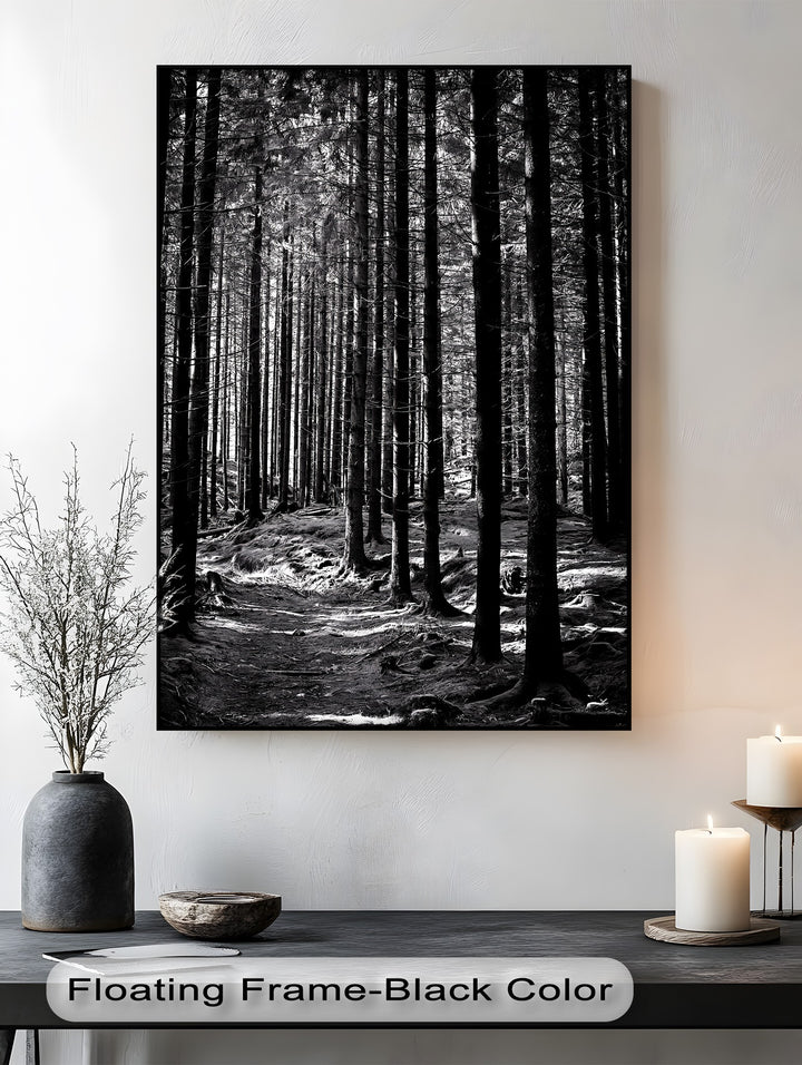 Whispers of the Woods – Black & White Forest Canvas Prints