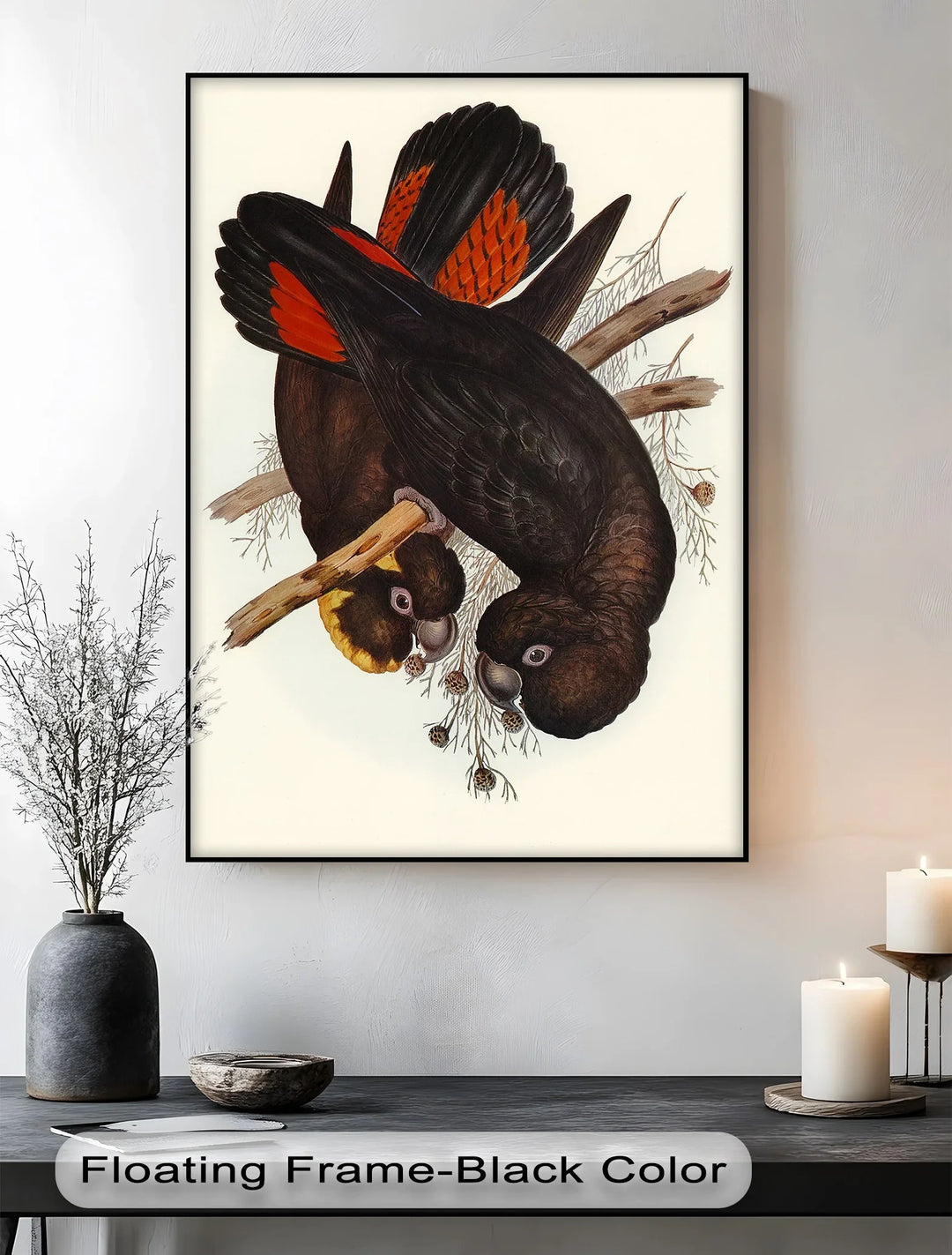 Crimson-Winged Black Cockatoos – Vintage Bird Illustration Animal Canvas Print - MyPhotoStation