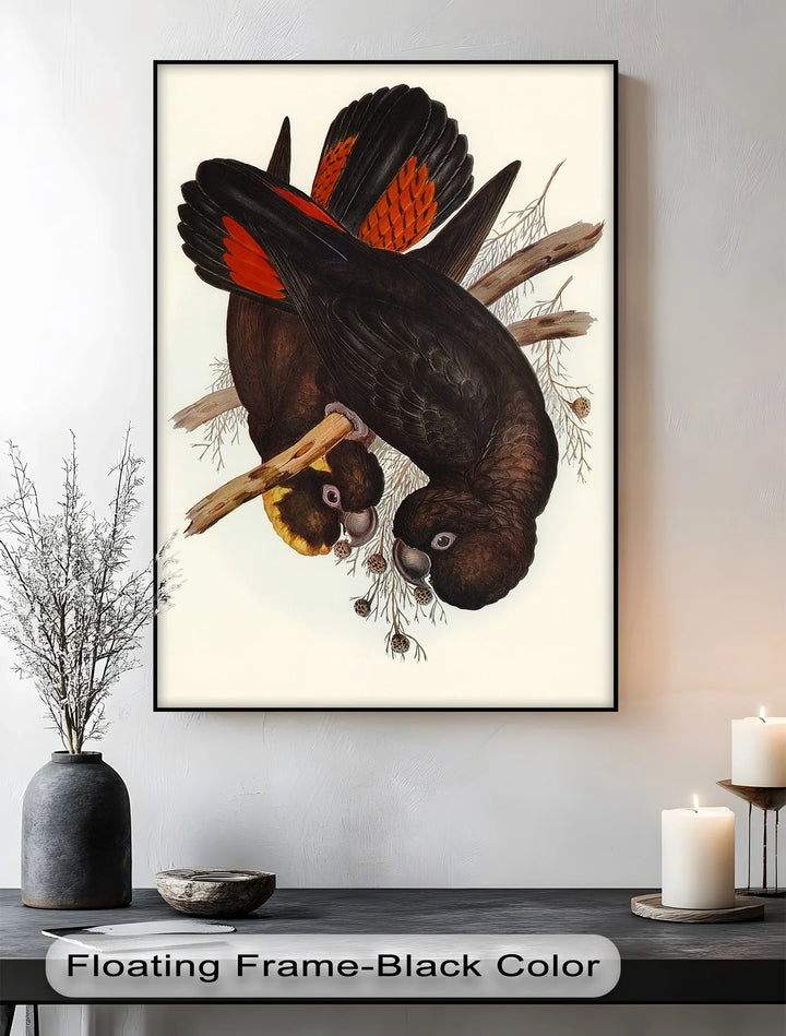 Crimson-Winged Black Cockatoos – Vintage Bird Illustration Animal Canvas Print - MyPhotoStation