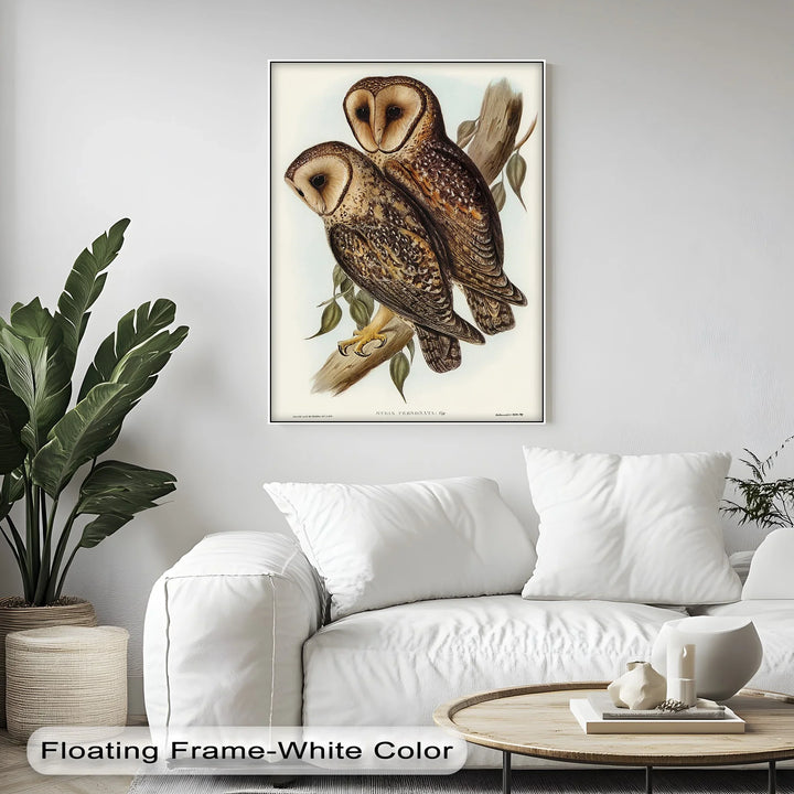 Vintage Barn Owls Illustration – Animal Canvas Print - MyPhotoStation