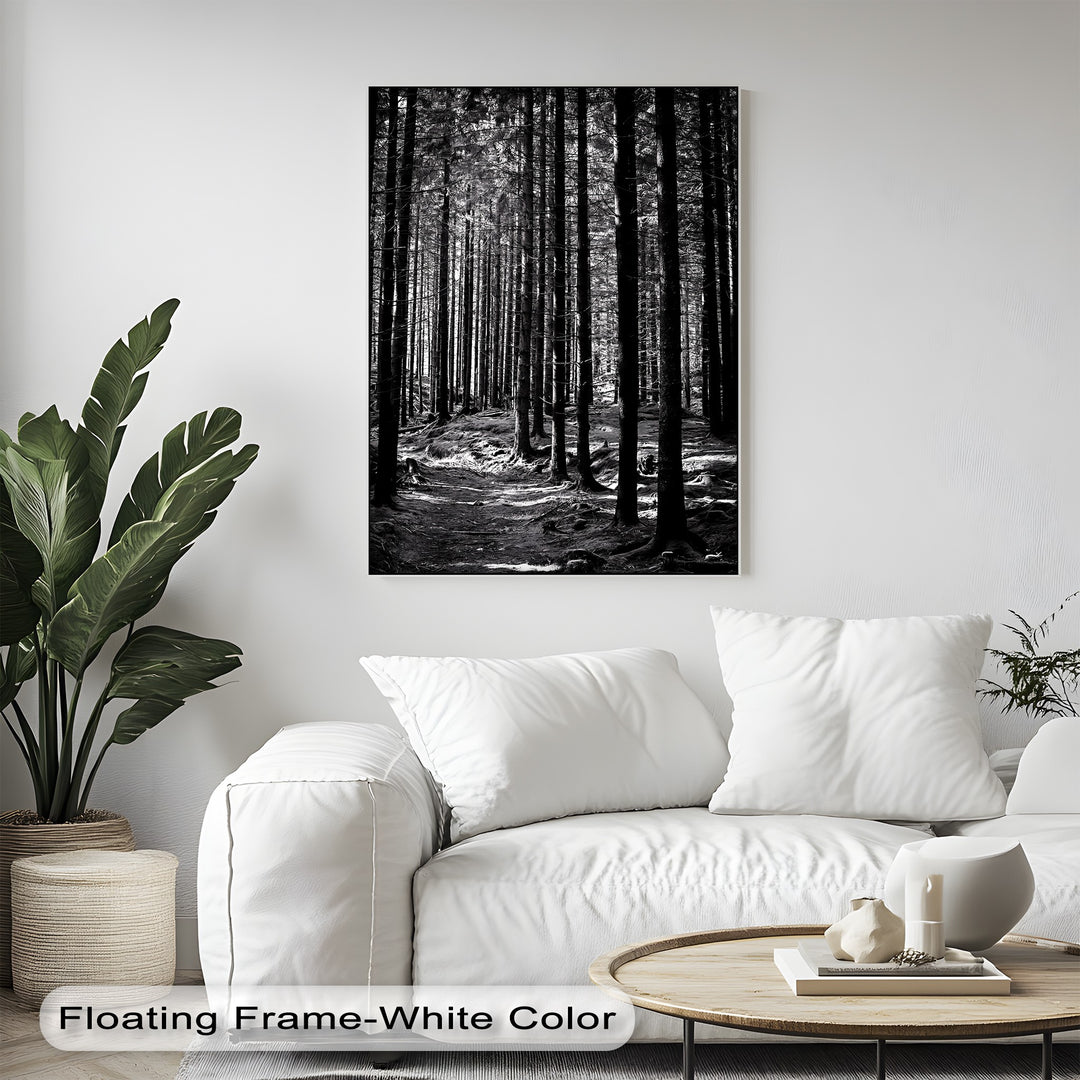 Whispers of the Woods – Black & White Forest Canvas Prints