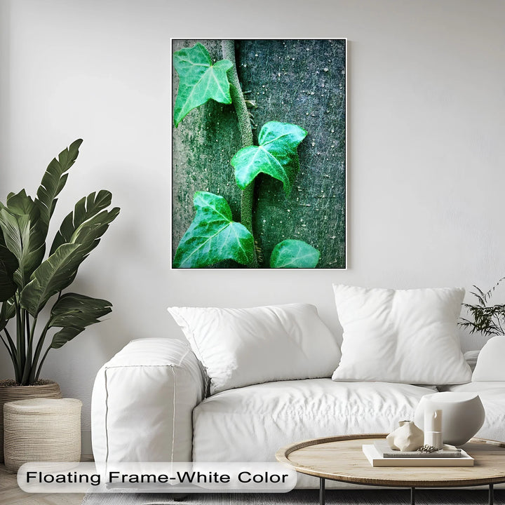 Climbing Ivy Close-Up – Nature Green Canvas Print - MyPhotoStation