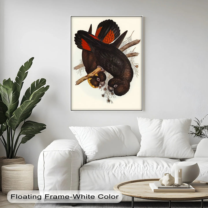 Crimson-Winged Black Cockatoos – Vintage Bird Illustration Animal Canvas Print - MyPhotoStation