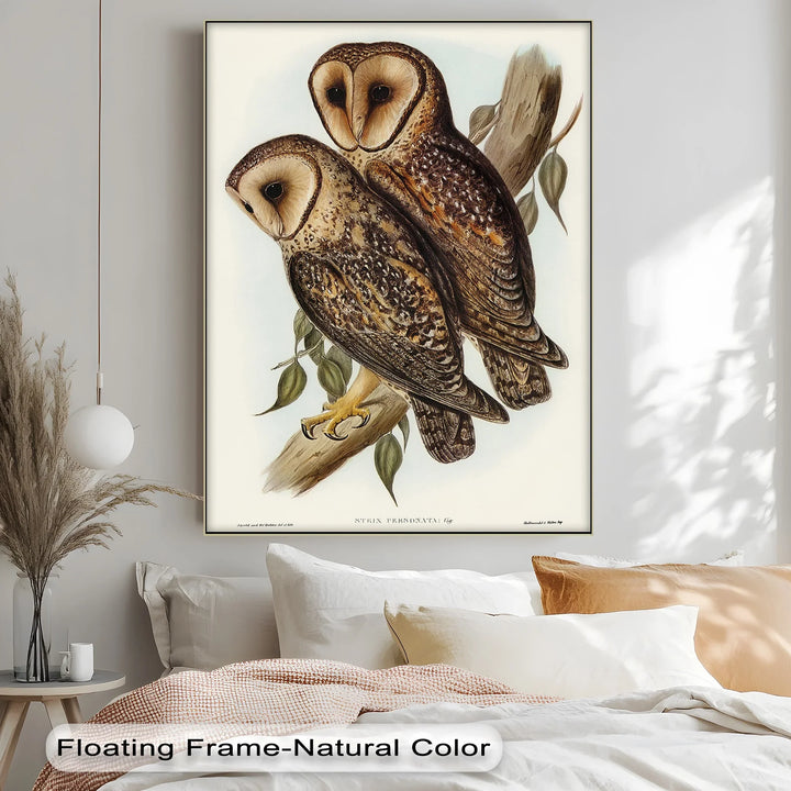 Vintage Barn Owls Illustration – Animal Canvas Print - MyPhotoStation