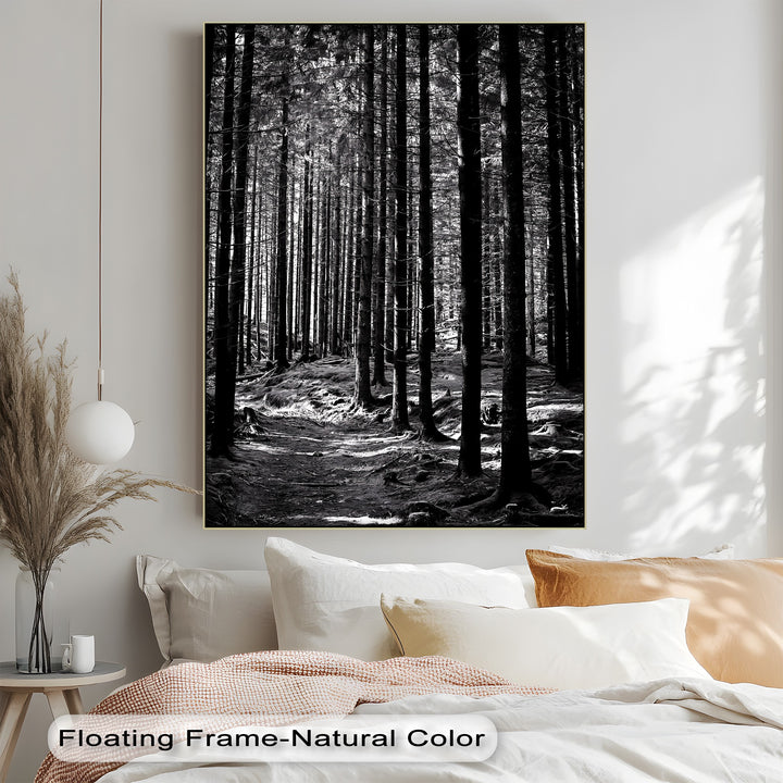 Tall trunks and forest shadows create deep contrast in this detailed photo canvas.

